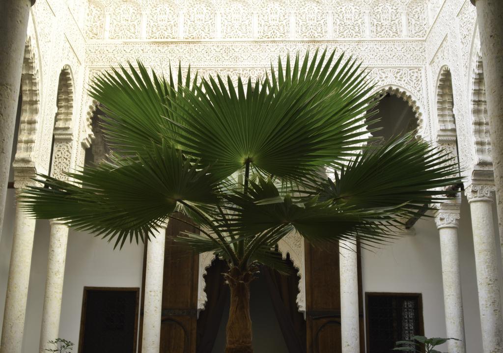Riad Azahra Рабат Экстерьер фото